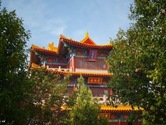 -曹州牡丹园