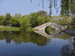 -泰州凤城河风景区-泰山公园