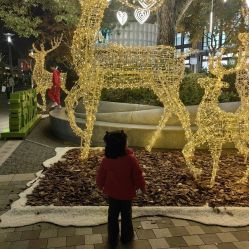 点击看大图 -Bonpoint(比斯特上海购物村店)