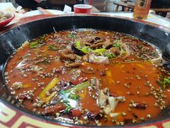 -烧哥美蛙肥肠鱼火锅·十五年社区店