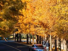 -南京市无想山景区