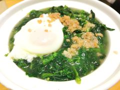 窝蛋万年青-珍宝粤赏里(杏坛店)