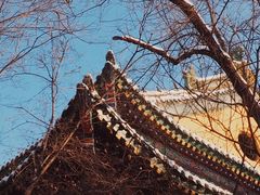 -圣·阿列克谢耶夫教堂