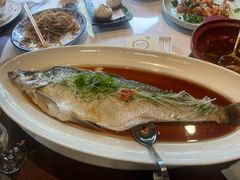 青麻椒蒸白水鱼-申粤轩酒楼·三十年粤菜经典(丁香花园店)