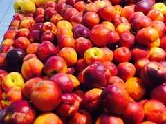 -麦德龙(湖里店)