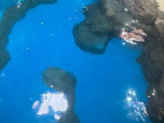 -海合安武汉极地海洋公园