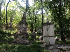 -北京上方山国家森林公园