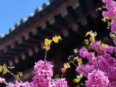 -西安市广仁寺