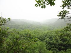 -大青沟风景区