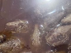 -鸿运兔·手撕烤兔(天府广场店)