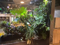 -森味薪火烧•烧鸟居酒屋•日本料理(望京店)