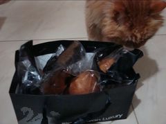 -BLACKSWAN黑天鹅(环球店)