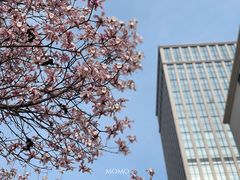 -中央公园(苏州工业园区)