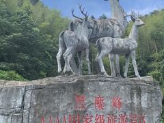 -长沙黑麋峰国家森林公园