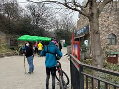 -紫金山山顶公园