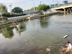 -坝河休闲公园