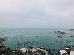 -枸杞岛