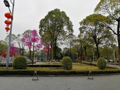 -深圳东部华侨城茵特拉根酒店