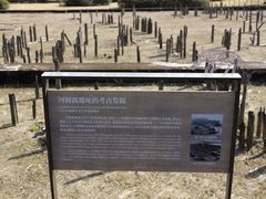 -河姆渡遗址博物馆