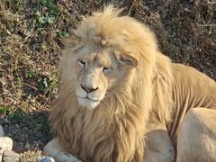 -石家庄市动物园