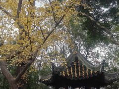-秋霞圃