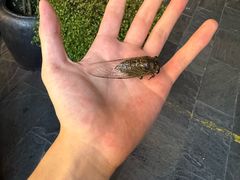 -江南小叙·美食研究院(鱼街店)
