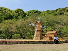-苏州上方山国家森林公园