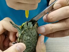 -天津前进宠物医院(前进道店)