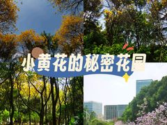-玉树公园