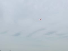 -灞河西岸滨河公园