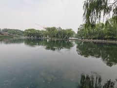 -百脉泉景区