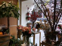 -蝶舍·MAISON PAPILLON