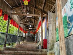 -鲤鱼塘农家山庄