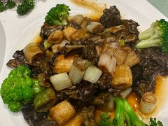 葱烧巴楚菇-新疆巴州金丝特餐厅(大钟寺店)