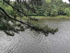-庐山风景区花径公园