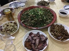 -东吴霸王兔(松青路店)