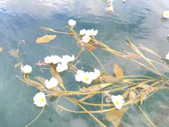 -丽江泸沽湖景区