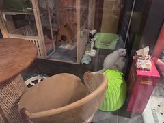 -府学·秋果S酒店(北京南锣鼓巷四合院店)