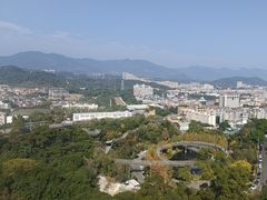 -福道