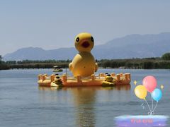 -野鸭湖国家湿地公园