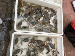 -薛家岛爱心农贸市场(薛家岛店)