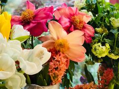 -二酉书店TOYOU BOOKS