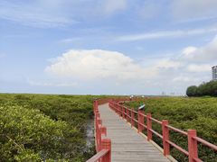-北海金海湾红树林生态旅游区