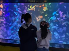 -烟台海昌鲸鲨海洋公园