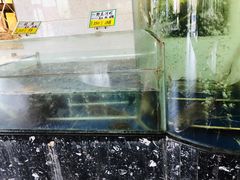水产区-红城阁·上海味道(四平路店)
