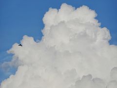 -三亚太阳湾柏悦酒店