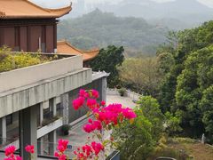 -深圳仙湖植物园
