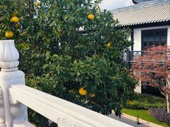 -上海皇廷花园酒店·西餐厅·自助餐