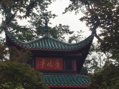 -岳麓山风景名胜区