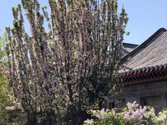 -万源龙顺度假庄园生态观光园